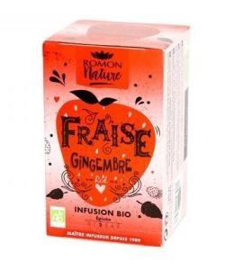 Fraise Gingembre BIO, 16 infusettes